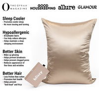 Taupe Mulberry Silk Pillowcase – Blissy Standard