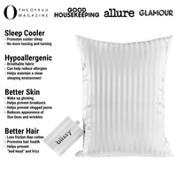 White Striped Mulberry Silk Pillowcase – Blissy Queen